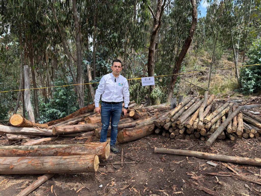 Trabajador de la CAR en bosque talado