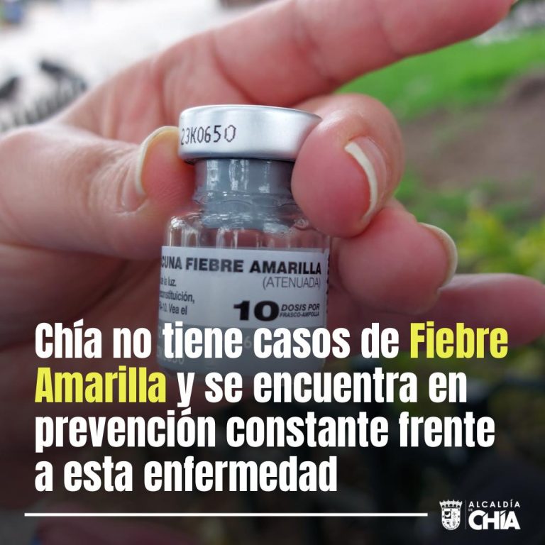 Imagen de vacuna contra la fiebre amarilla.