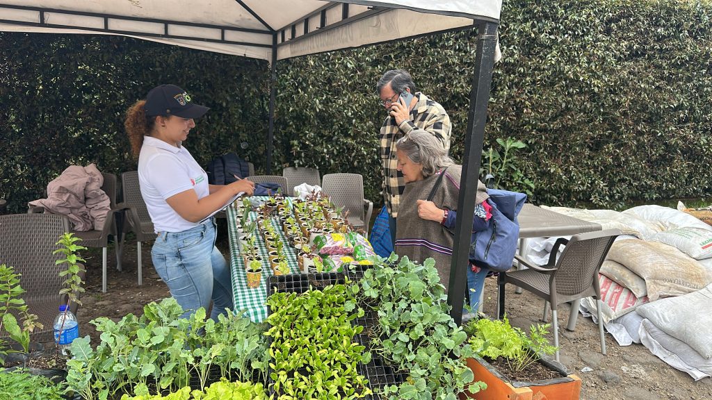 Gente en la plaza de mercado