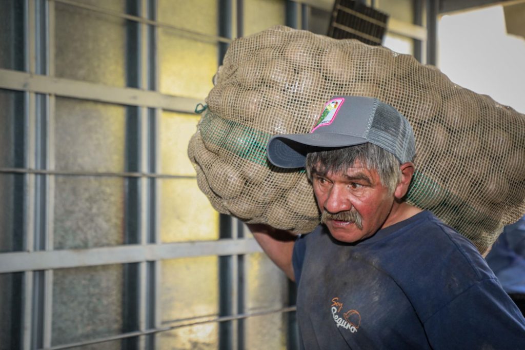 Hombre cargando bulto de papa