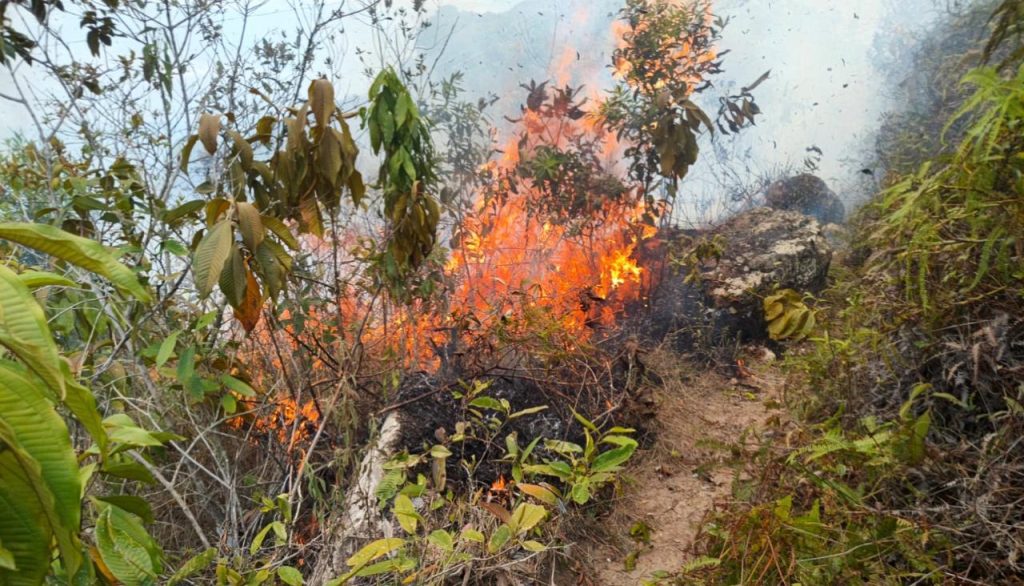 Incendio en una montaña del Nilo Cundinamarca.