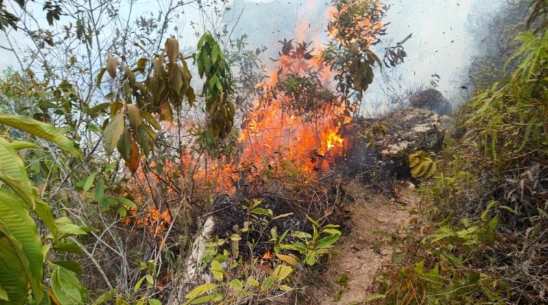 Incendio en una montaña del Nilo Cundinamarca.