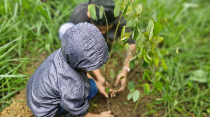 Como un aporte para la reducción de la huella de carbono, las dos entidades unieron esfuerzos en esta “Tercera Sembratón”
