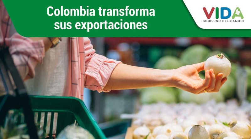 Imagen de una mano cogiendo alientos en l plaza de mercado.