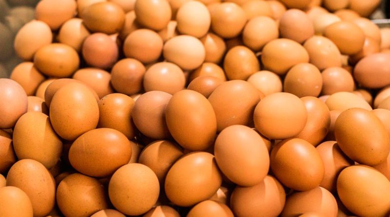 3-millones-de-huevos a-pequeños-productores-avicolas-