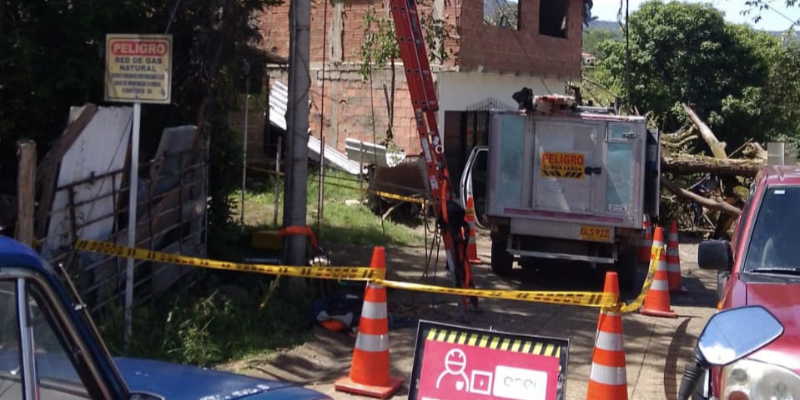 árbol que cayó en el capó de un carro.