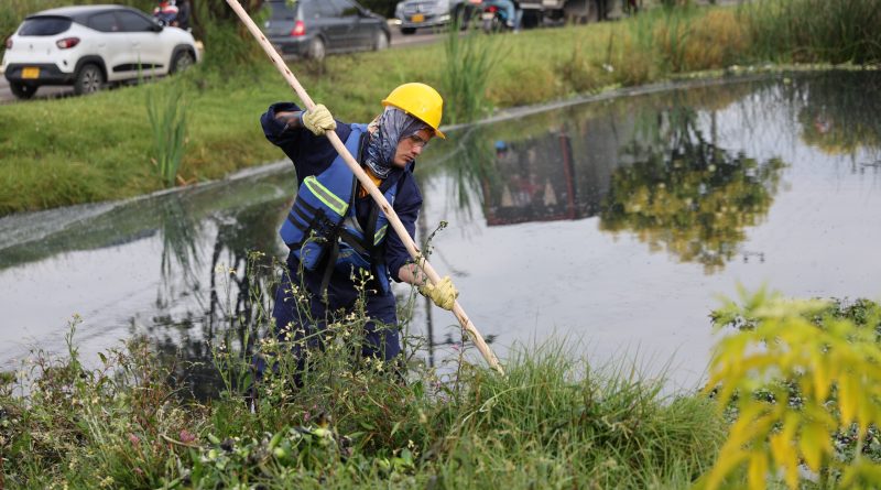 En la jurisdicción CAR existen cerca de 250 humedales que ocupan más de 13.000 hectáreas.