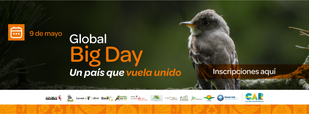 Imagen para la inscripción al Bird Global 2026