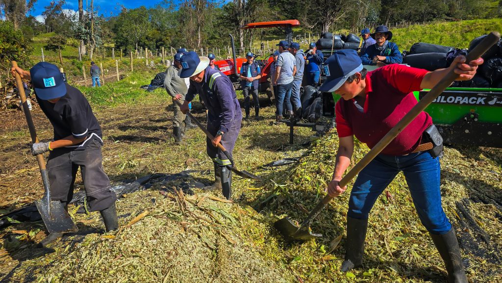 Campesinos cultivando papa en Cundinamarca