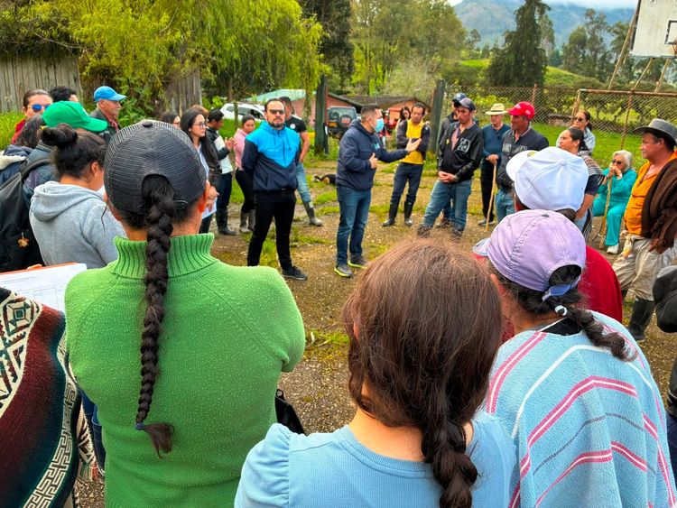 Oso Andino en Cundinamarca