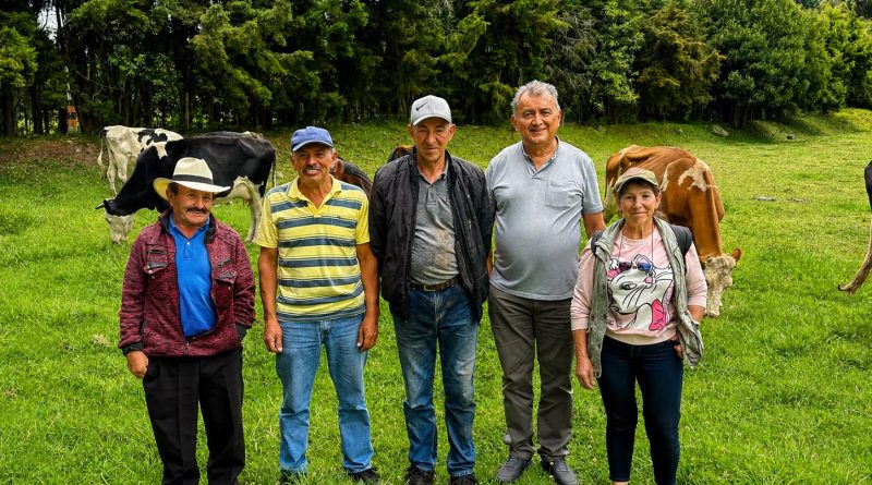 Sector lechero en Cundinamarca