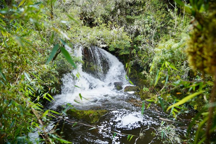 Centros acuíferos en Cundinamarca