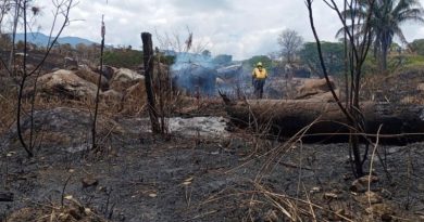 Incendios forestales en Cundinamarca