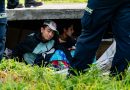 personas debajo del puente