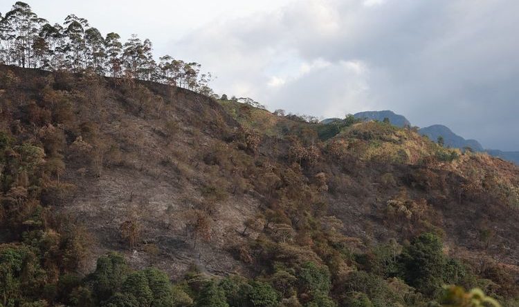 Montañas indenciadas