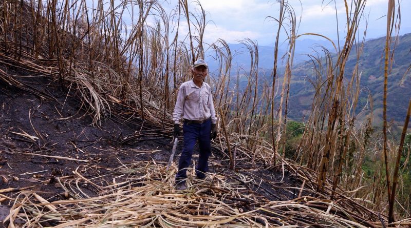 Incendios en Villeta