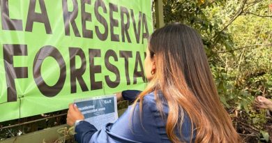 Freno a reserva forestal de la CAR