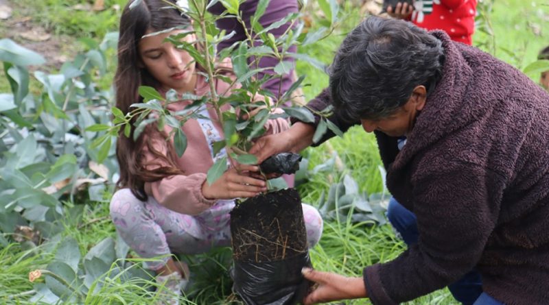 Mujer y niña están en un lote sembrando árboles.
