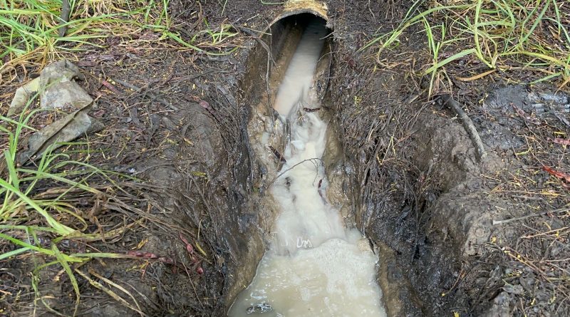 Vertiente de agua contaminada.
