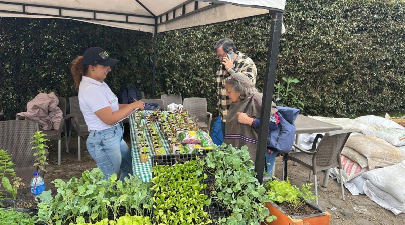 Gente en la plaza de mercado