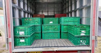Cajas de alimentos