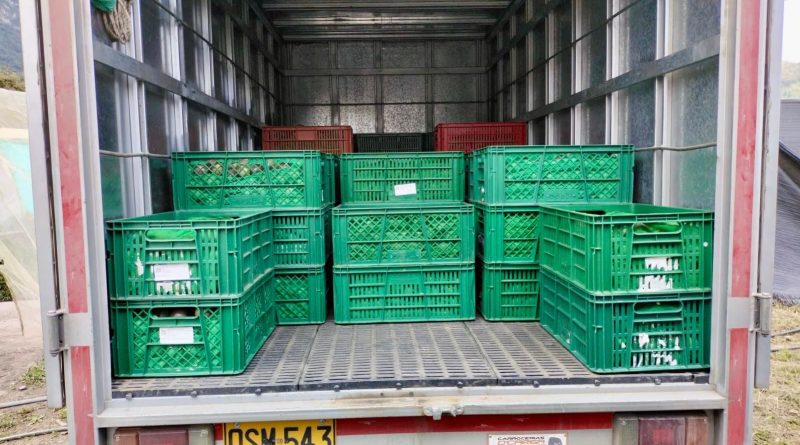 Cajas de alimentos