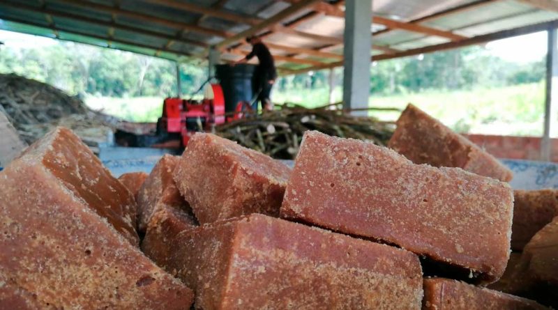 Panela en cuadritos