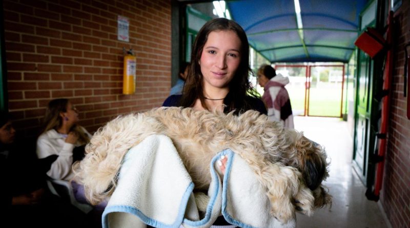 Mujer cargando a un perrito que acaba de ser esterilizado.