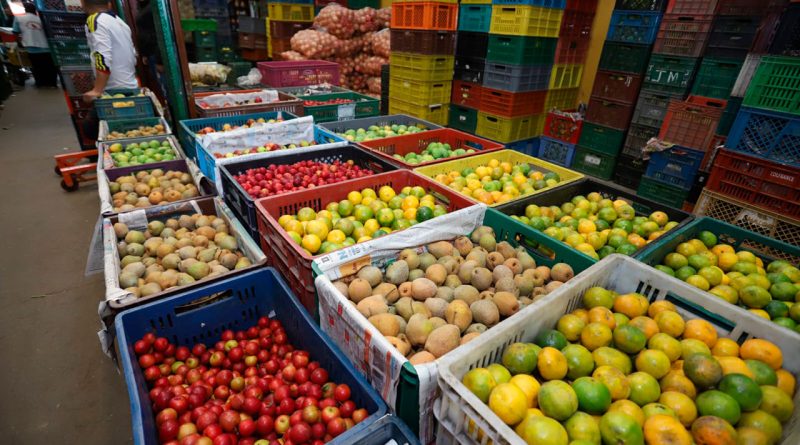 Galería de frutas de colores en una plaza de mercado.