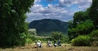 Lotes para siembra de árboles en Cundinamarca