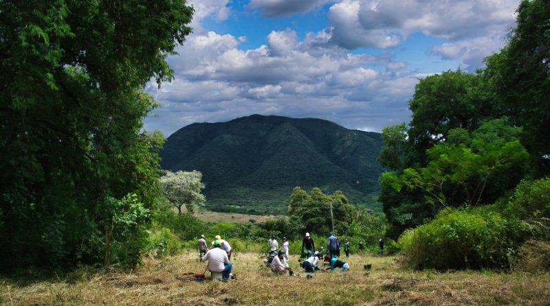 Lotes para siembra de árboles en Cundinamarca