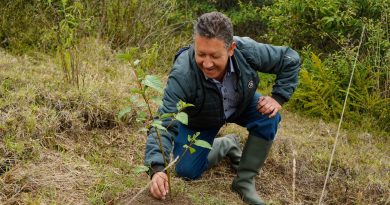 Funcionario de la CAR sembrando un árbol