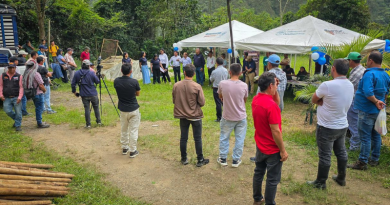 Equipos de trabajo de Fosca y Guayabetal