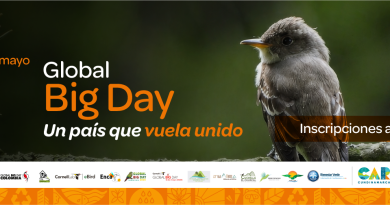 Imagen para la inscripción al Bird Global 2026