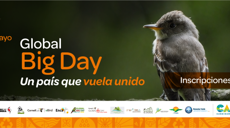 Imagen para la inscripción al Bird Global 2026