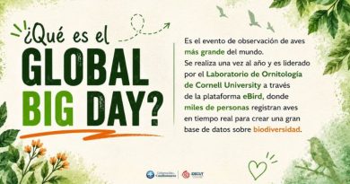 El departamento supera las 1.000 especies de aves registradas y consolida estrategias de formación ambiental y turismo de naturaleza en instituciones educativas.
