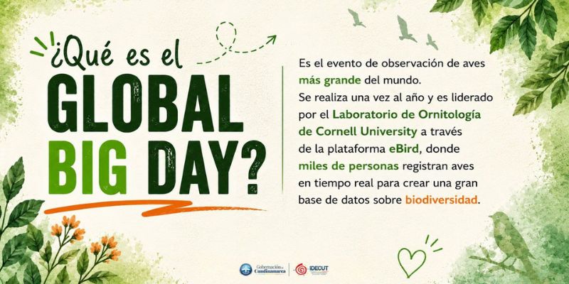 El departamento supera las 1.000 especies de aves registradas y consolida estrategias de formación ambiental y turismo de naturaleza en instituciones educativas.