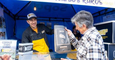 Festival del Queso
