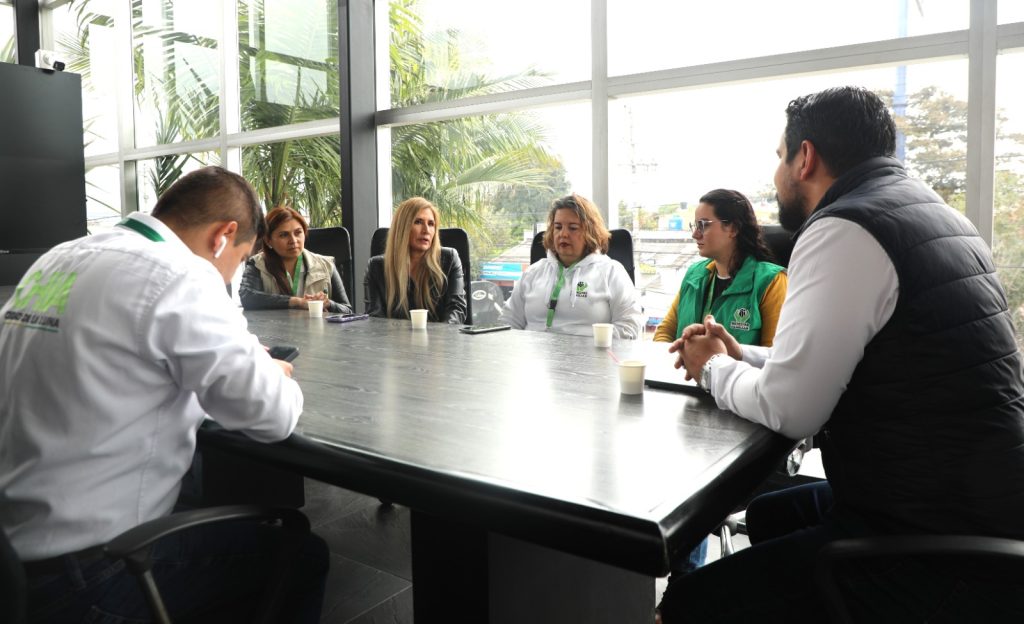 Equipo de trabajo de