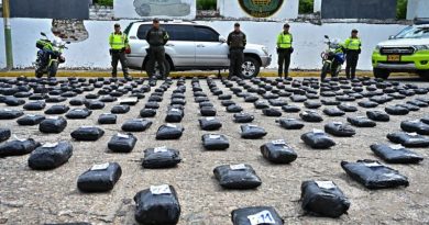 Incautación de marihuana en cajas en Cundinamarca