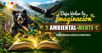 Imagen de invitación para los municipios en concurso ambiental