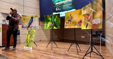 Presentación de fotos de diferentes aves en Cundinamarca
