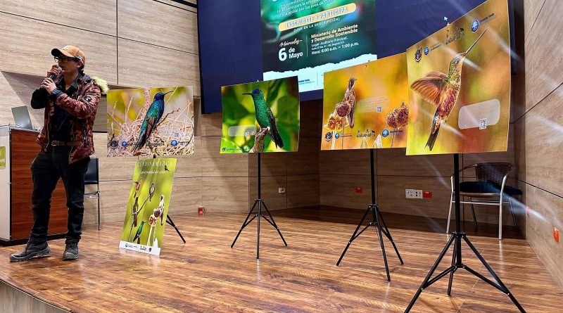 Presentación de fotos de diferentes aves en Cundinamarca
