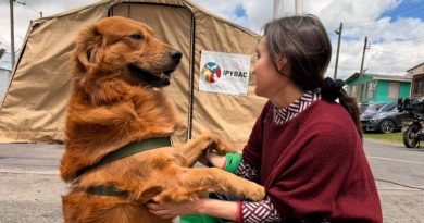 Más de 80 municipios de Cundinamarca participan en el fortalecimiento de las Juntas Defensoras de Animales Mujer con un perri Golden, aludiendo a la normatividad protectora de animales.