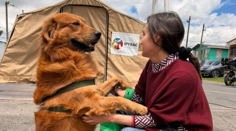 Mujer con un perri Golden, aludiendo a la normatividad protectora de animales.