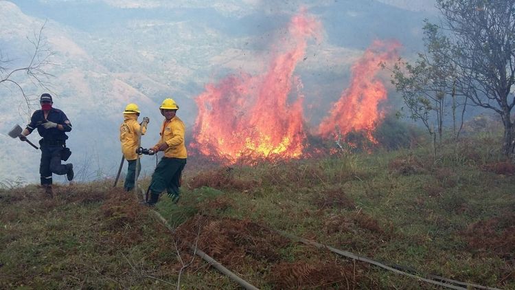 Bomberos en diferentes zonas de Cundinamarca