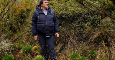 Más de 190 nuevos guardianes vigilan los páramos que garantizan el agua de Colombia Señor caminando en el bosque