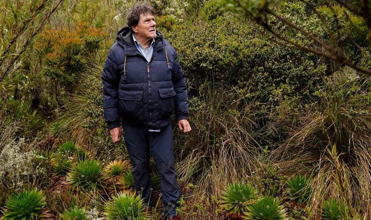Señor caminando en el bosque