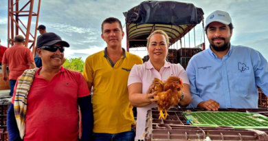 Familias de mercados campesinos