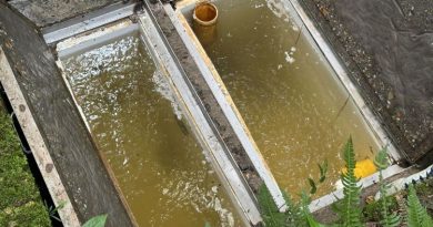 CAR prepara a usuarios rurales para enfrentar El Niño con uso legal y eficiente del agua Pozetas de agua estancada